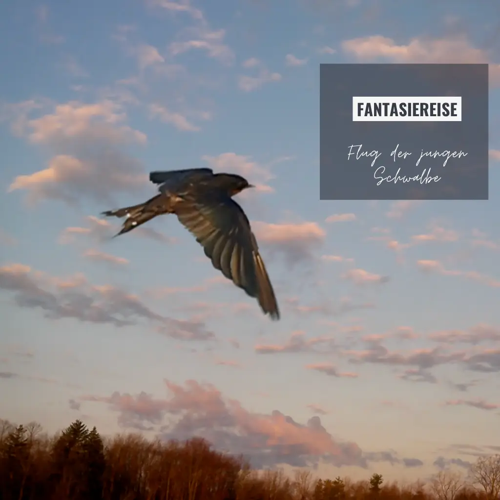 Eine Schwalbe fliegt bei Sonnenuntergang durch einen wolkenverzierten Himmel über einem Wald. Rechts oben im Bild befindet sich ein eingeblendetes DigGesV-Logo mit dem Titel Fantasiereise – Flug der jungen Schwalbe.